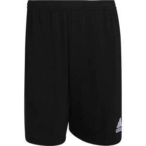 adidas HB0575 Black Shorts - Sportswear adidas HB0575 Black Shorts - Sportswear