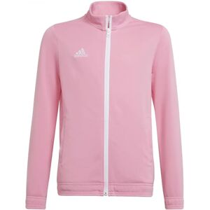Giacca da allenamento rosa Adidas HC5035 - Allenamento Giacca da allenamento rosa Adidas HC5035 - Allenamento