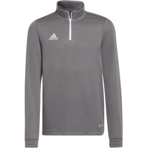 adidas Kids Gray Entrada 22 Training Sweatshirt - Kid's Sports Top adidas Kids Gray Entrada 22 Training Sweatshirt - Kid's Sports Top