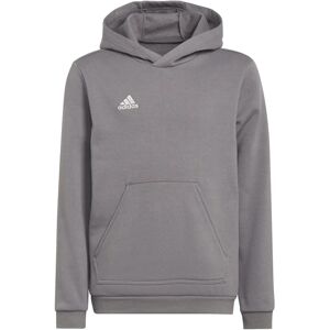 Adidas Kids Grey Entrada 22 Hoody - All-Year Football Sweatshirt Adidas Kids Grey Entrada 22 Hoody - All-Year Football Sweatshirt