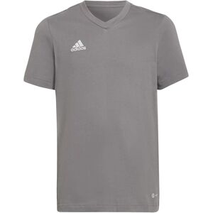 adidas ENT 22 V-Neck Boys T-Shirt - Sports & Casual adidas ENT 22 V-Neck Boys T-Shirt - Sports & Casual