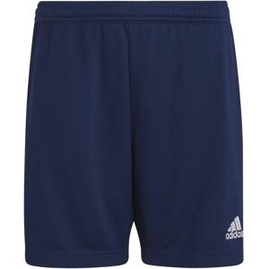 Adidas Entrada 22 H57500 Football Shoes - Navy/Blue - All Year - Boys Adidas Entrada 22 H57500 Football Shoes - Navy/Blue - All Year - Boys