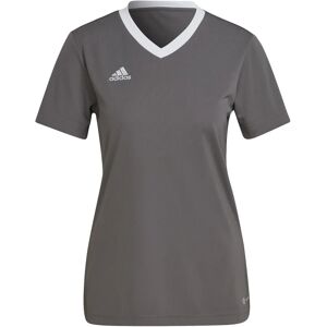 Adidas Entrada 22 H59848 football all year women t-shirt - Grey Adidas Entrada 22 H59848 football all year women t-shirt - Grey