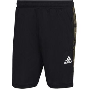 adidas AEROREADY Feelstrong Camo Sport Shorts - Μαύρο - Γυμναστήριο και Προπόνηση adidas AEROREADY Feelstrong Camo Sport Shorts - Μαύρο - Γυμναστήριο και Προπόνηση