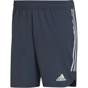 Adidas HE2948 Šedé kraťasy - Shorts Adidas HE2948 Šedé kraťasy - Shorts