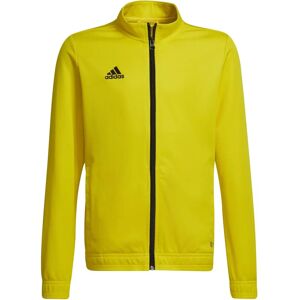 Adidas Boy Yellow Training Jacket - Training Jacket Adidas Boy Yellow Training Jacket - Training Jacket