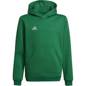 Adidas HI2143 Green Training Shirt - All Year Adidas HI2143 Green Training Shirt - All Year