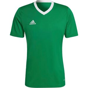 Maglietta da calcio adidas Entrada 22 HI2123 - Verde - Tutto l'anno - Uomo Maglietta da calcio adidas Entrada 22 HI2123 - Verde - Tutto l'anno - Uomo