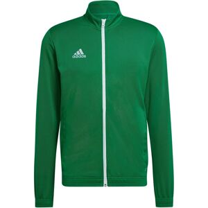 adidas Uomo Giacca Allenamento Verde Entrada 22 - Giacca adidas Uomo Giacca Allenamento Verde Entrada 22 - Giacca