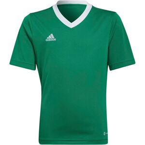 Adidas Entrada 22 HI2126 Football - All-year Boy Green XL Adidas Entrada 22 HI2126 Football - All-year Boy Green XL