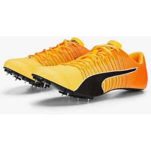 Puma EvoSPEED Tokyo Futur - Chaussures de Course Légères - Publicité Puma EvoSPEED Tokyo Futur - Chaussures de Course Légères - Publicité