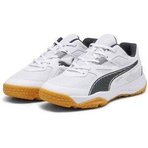 Pantofi sport indoor PUMA Solarflash II Unisex - Alb, Multicolor, Roz Pantofi sport indoor PUMA Solarflash II Unisex - Alb, Multicolor, Roz