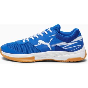PUMA Varion II Handball Shoes - Sport Shoes PUMA Varion II Handball Shoes - Sport Shoes