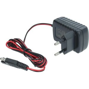 Chargeur vhbw pour batteries de démarrage - Compatible avec tondeuse Scheppach - 12 V / 0,1 A - Publicité Chargeur vhbw pour batteries de démarrage - Compatible avec tondeuse Scheppach - 12 V / 0,1 A - Publicité