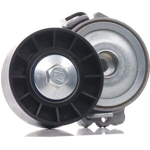 RIDEX Poulie Tendeur Ford Peugeot - Poulie-tendeur pour courroie trapézoïdale - Publicité RIDEX Poulie Tendeur Ford Peugeot - Poulie-tendeur pour courroie trapézoïdale - Publicité