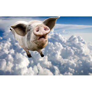 PAPERMOON - Fototapete Fliegende Schweine - 2,0 m x 1,5 m - 1 Rolle - Wallpaper PAPERMOON - Fototapete Fliegende Schweine - 2,0 m x 1,5 m - 1 Rolle - Wallpaper