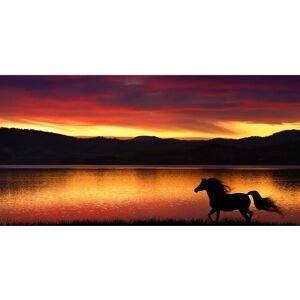 PAPERMOON Pferd in Landschaft Wandbild - Wandbild PAPERMOON Pferd in Landschaft Wandbild - Wandbild