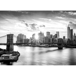 PAPERMOON New York Schwarz & Weiß Tapete - 4,5m x 2,8m - Stadtlandschaft PAPERMOON New York Schwarz & Weiß Tapete - 4,5m x 2,8m - Stadtlandschaft