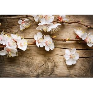 PAPERMOON Blumen auf Holz Wandbild - Tapete PAPERMOON Blumen auf Holz Wandbild - Tapete