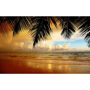 PAPERMOON Palm Trees Strand Karibik Meer XXL Fototapete - Vlies Wall Mural PAPERMOON Palm Trees Strand Karibik Meer XXL Fototapete - Vlies Wall Mural