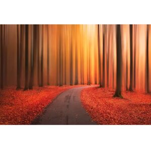 PAPERMOON Christian Lindsten Landschaft Wandbild - Wandbild PAPERMOON Christian Lindsten Landschaft Wandbild - Wandbild