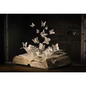PAPERMOON Fototapete HEATHER BONADIO - bunt, 5m x 2,8m, bunt PAPERMOON Fototapete HEATHER BONADIO - bunt, 5m x 2,8m, bunt