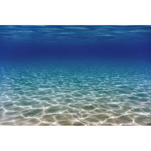 PAPERMOON - UNTERWASSER-WELT-OZEANE - wallpaper PAPERMOON - UNTERWASSER-WELT-OZEANE - wallpaper