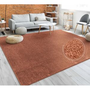 Paco Home - Tappeto Rame 80x150 cm - Tappeto Paco Home - Tappeto Rame 80x150 cm - Tappeto