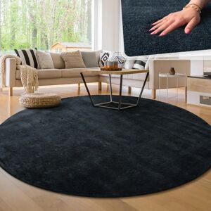 Alfombra Paco Home Azul-Marino Pelillo Corto Suave - Producto para Sala Alfombra Paco Home Azul-Marino Pelillo Corto Suave - Producto para Sala