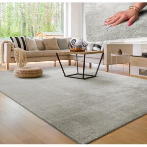 Alfombra Paco Home Plata - Pila corta unicolor para sala Alfombra Paco Home Plata - Pila corta unicolor para sala