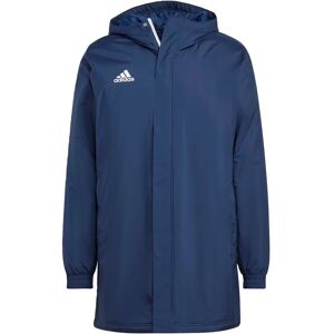 adidas Entrada 22 Veste de Stade - Veste - Publicité adidas Entrada 22 Veste de Stade - Veste - Publicité