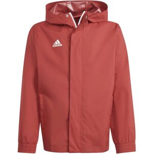 Adidas Entrada 22 IK4013 All-Weather Jacket - Red - Jacket Adidas Entrada 22 IK4013 All-Weather Jacket - Red - Jacket