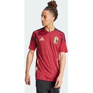adidas Belgium 2024 Home Jersey - Red, Short Sleeve, Small adidas Belgium 2024 Home Jersey - Red, Short Sleeve, Small