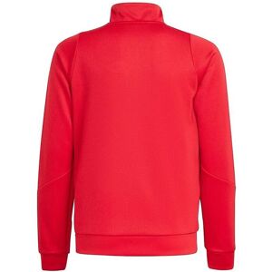 Adidas Tiro 24 Training Red Sweatshirt - Sweatshirt Adidas Tiro 24 Training Red Sweatshirt - Sweatshirt