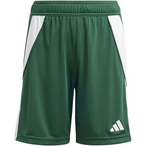 Pantalones cortos Adidas Tiro 24 Niños - Verde/Blanco - Shorts de fútbol Pantalones cortos Adidas Tiro 24 Niños - Verde/Blanco - Shorts de fútbol