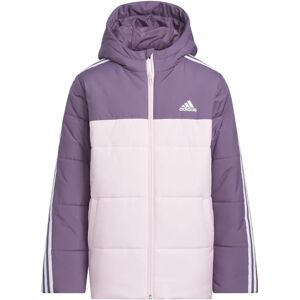 adidas JG CB PAD JKT 164 - Veste rembourrée pour enfants - Violet adidas JG CB PAD JKT 164 - Veste rembourrée pour enfants - Violet