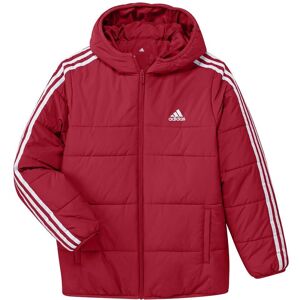 jaqueta acolchoada adidas Kids 3S - Vermelho - Jaqueta jaqueta acolchoada adidas Kids 3S - Vermelho - Jaqueta