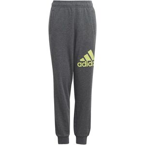 adidas Μοντέλο IJ7069 - Παντελόνι τζόκερ με κανονική εφαρμογή από βαμβάκι adidas Μοντέλο IJ7069 - Παντελόνι τζόκερ με κανονική εφαρμογή από βαμβάκι