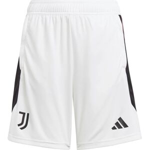 Adidas Tiro 23 White Shorts - Kids Adidas Tiro 23 White Shorts - Kids