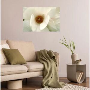 QUEENCE Weiß Love Wandsticker - 120x80cm, Selbstklebend, Blume QUEENCE Weiß Love Wandsticker - 120x80cm, Selbstklebend, Blume