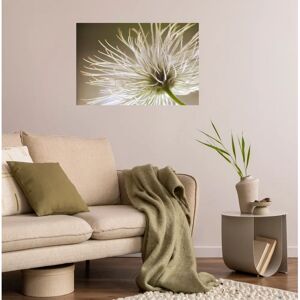 QUEENCE Beiger Blumen-Wandsticker - Selbstklebend, wiederverwendbar QUEENCE Beiger Blumen-Wandsticker - Selbstklebend, wiederverwendbar