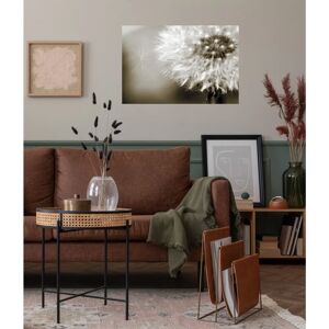 QUEENCE Lena Wandsticker - Pusteblume - Beige - Wanddekoration QUEENCE Lena Wandsticker - Pusteblume - Beige - Wanddekoration