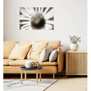 QUEENCE Weiße Sonne Selbstklebender Wandaufkleber - Wanddekoration QUEENCE Weiße Sonne Selbstklebender Wandaufkleber - Wanddekoration