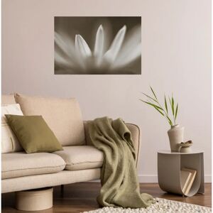 QUEENCE Beigefarbener Blumen Wandsticker - Wandtattoo - 150x90/100 cm - Wandkunst QUEENCE Beigefarbener Blumen Wandsticker - Wandtattoo - 150x90/100 cm - Wandkunst