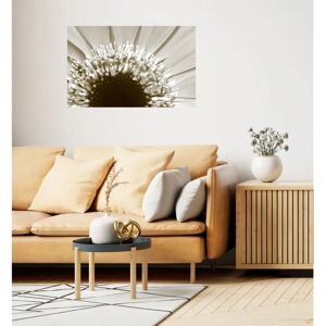 QUEENCE Wandsticker Sonnenblume - Selbstklebende Wandtattoo für Wohnzimmer QUEENCE Wandsticker Sonnenblume - Selbstklebende Wandtattoo für Wohnzimmer