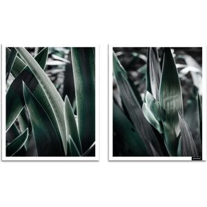 BRUNO BANANI Blätter Wandbild - Gerahmter Digitaldruck 30x40cm BRUNO BANANI Blätter Wandbild - Gerahmter Digitaldruck 30x40cm