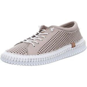Andrea Conti Beige Sneakers - Damer - 37 EU - Sneakers för Kvinnor Andrea Conti Beige Sneakers - Damer - 37 EU - Sneakers för Kvinnor