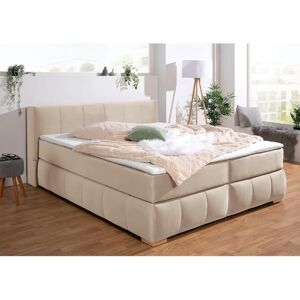Guido Maria Kretschmer Home & Living Chelles Beige Samtoptik Boxspringbett - Boxspringbett Guido Maria Kretschmer Home & Living Chelles Beige Samtoptik Boxspringbett - Boxspringbett