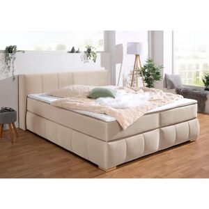 Guido Maria Kretschmer Chelles Samtoptik Boxspringbett - Boxspringbett Guido Maria Kretschmer Chelles Samtoptik Boxspringbett - Boxspringbett