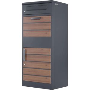 Zelsius - Title Zelsius - Title